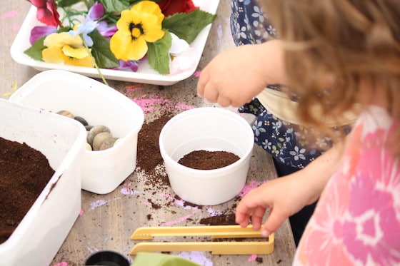 playing with flowers, coffee grounds and lentils