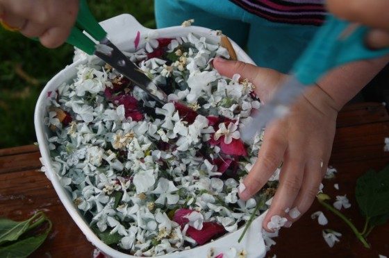 child cutting flowers into bowl of water