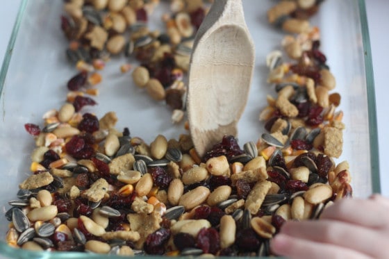 nuts, seeds, and dried fruit for our orange cup bird feeders