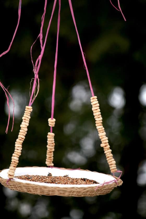 Homemade Bird Feeder Hanging in Tree