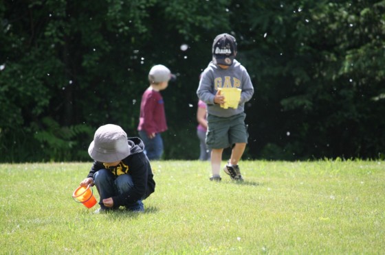 preschoolers collecting leaves and flowers with buckets