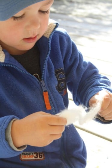 preschooler pulling cotton ball