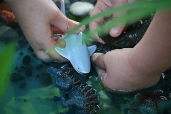 aquatic animals in dinosaur sensory bin