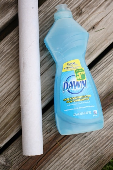 cardboard tube and dawn dish soap