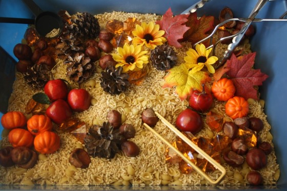 november sensory bin filled with fall goodies