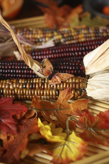 Indian corn on the Fall Sensory Table