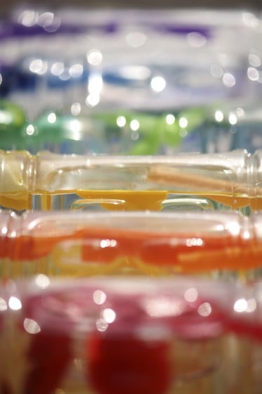 close up shot of I spy bottles lined up on their sides in the sunlight