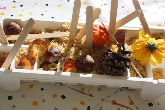 Various Fall Items for Preschoolers to explore