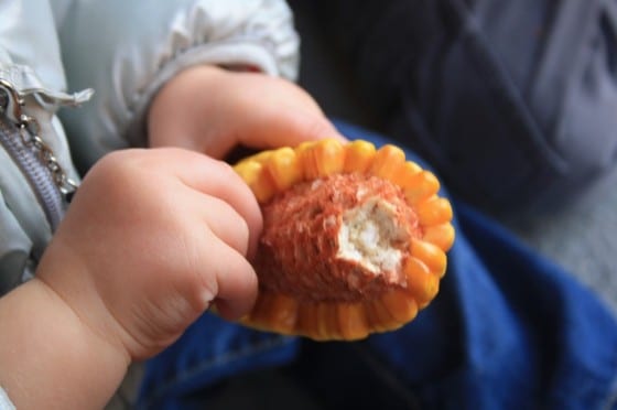 corn kernels, fun sensory activity for fall