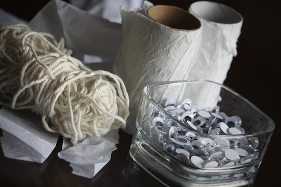 supplies for toilet roll mummies