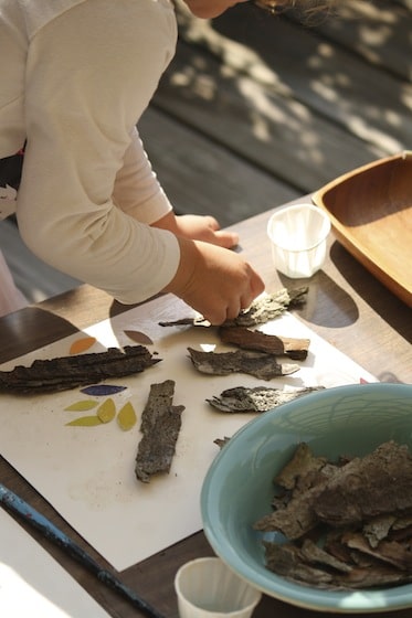 gluing bark to a cardboard canvas