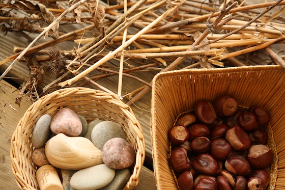 sticks, stones, shells, chesttnuts for snow play 