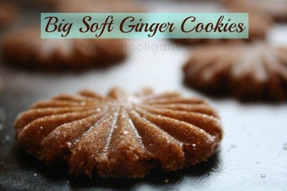 big soft ginger cookies