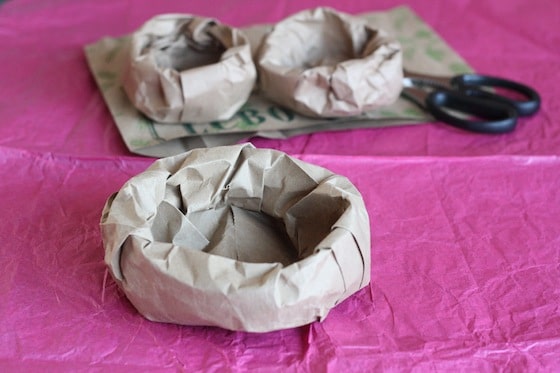 3 paper bag nests