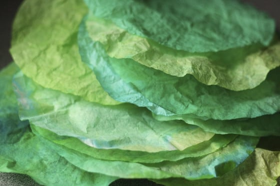 green coffee filters dyed with food colouring and liquid watercolours