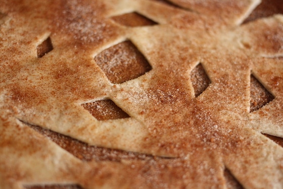 snowflake-shaped tortilla sprinkled with cinnamon and sugar