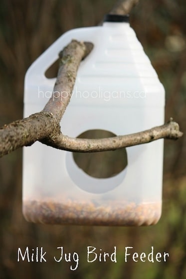 Milk Jug Bird Feeder made from plastic container