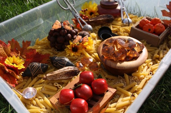 fall sensory bin materials