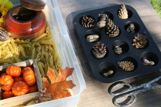 what to put in a fall sensory bin