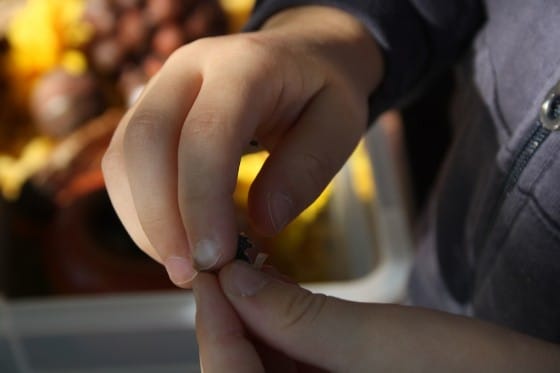 preschoolers hands closeup