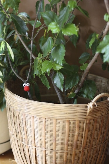 reindeer ornament in hibiscus plant