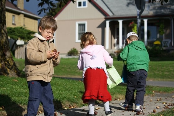 preschoolers gathering chestnuts on sidewalk