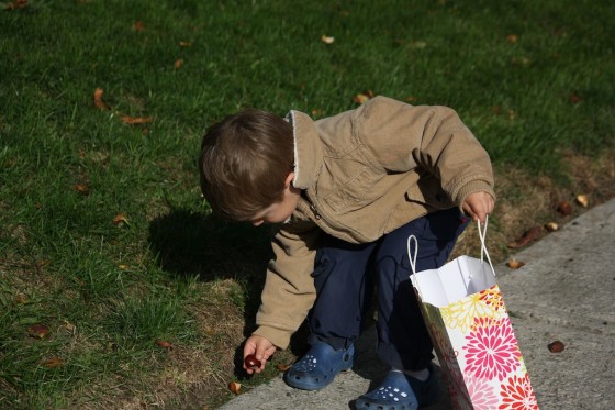 preschool boy putting chestnut in bag