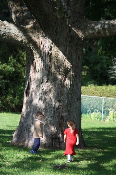 preschool boy and girl standing under tree in park