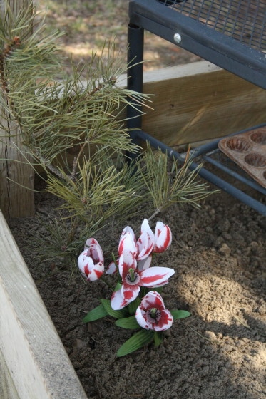 flowers and pine branches in sandbox