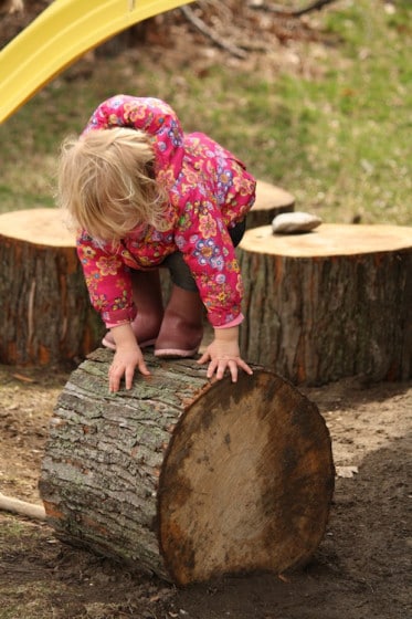 toddler balancing on tree stumps