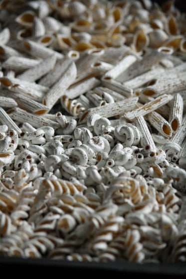 pasta painted white for the bones of our halloween wreaths