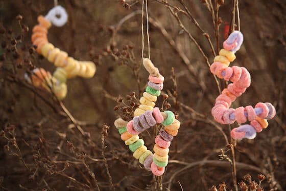 3 fruit loops ornaments made with pipe cleaners