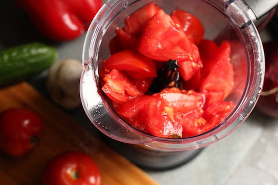 chopped tomatoes in blender