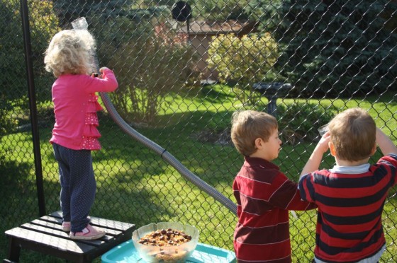 preschoolers using funnel and hose activity 