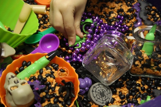 assortment of materials in a Halloween sensory bin