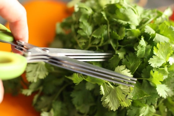 herb scissors cutting cilantro