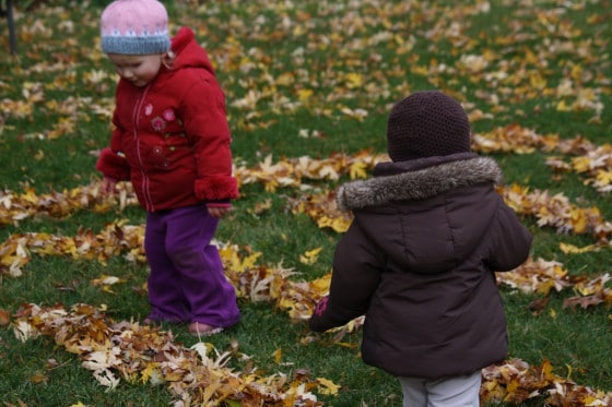 how to make a leaf maze in your backyard