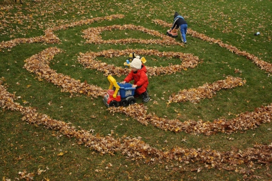 backyard maze with fall leaves