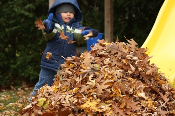 preschooler in blue jacket raking leaves to bottom of slide