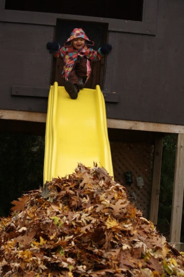 kids sliding into pile of fall leaves