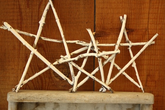 twigs painted with white craft paint for Summer Stars