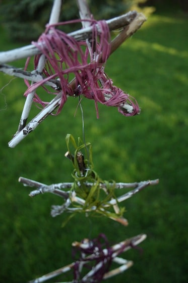 Summer Twig ornaments