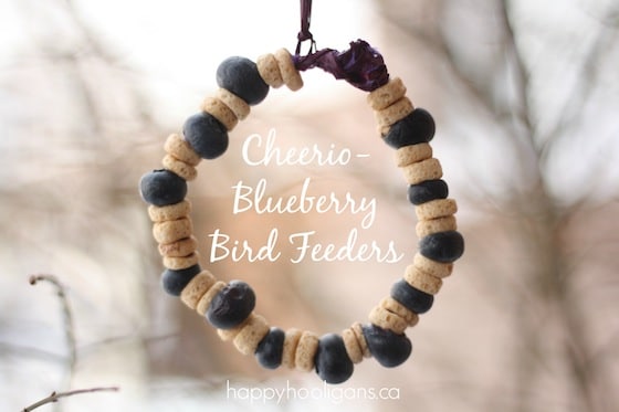 homemade bird feeders with cheerios and blueberries hanging from tree