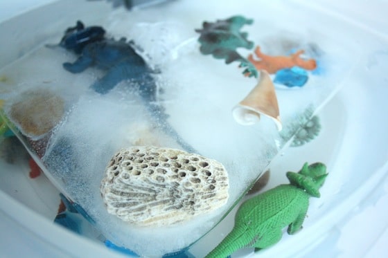 toy dinosaurs and shells frozen in ice