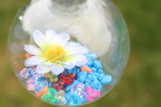 flowers and aquarium rocks in clear plastic ornament