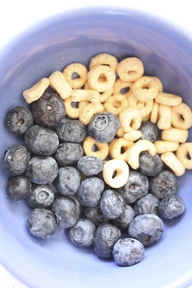 bowl of Cheerios and blueberries for pipe cleaner bird feeders