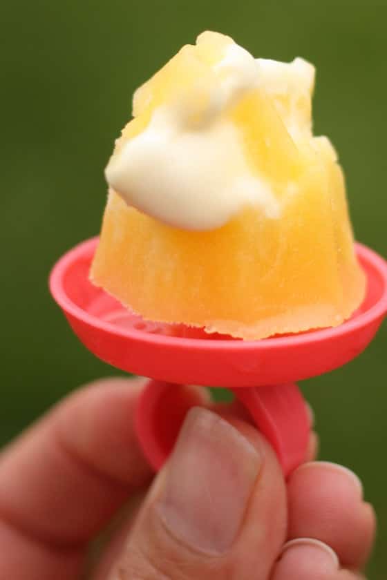 homemade creamsicle