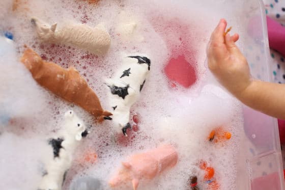 plastic farm animals in soapy water