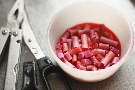 Marker inserts chopped up in a bowl with a bit of water.