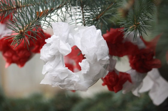 wreaths hanging on spruce tree 